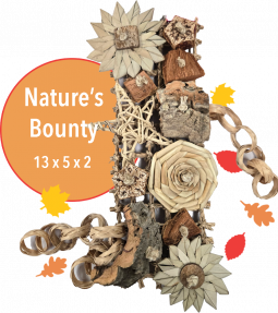 Nature's Beauty Bounty! Maka Toys